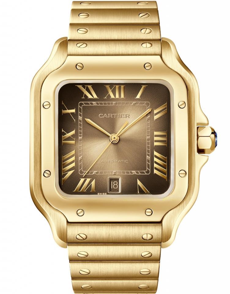CARTIER WGSA0095