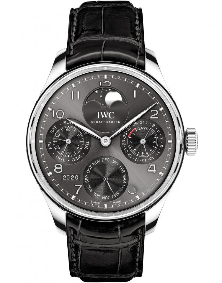 IWC IW503301