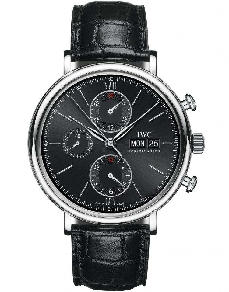 IWC IW391008
