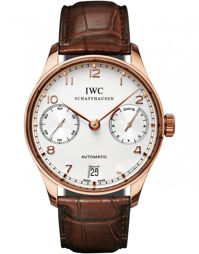 IWC IW500113