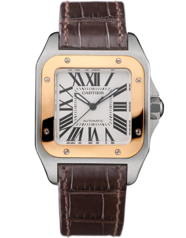 CARTIER W20107X7