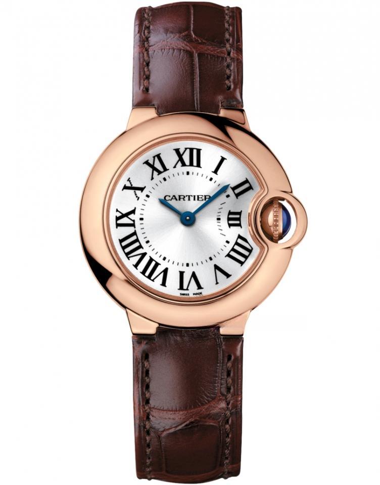 CARTIER W6900256
