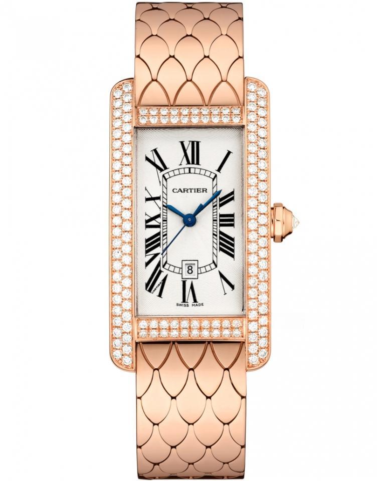 CARTIER WB710010