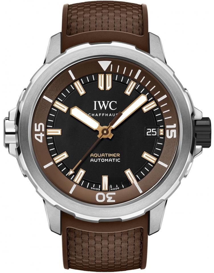 IWC IW341002