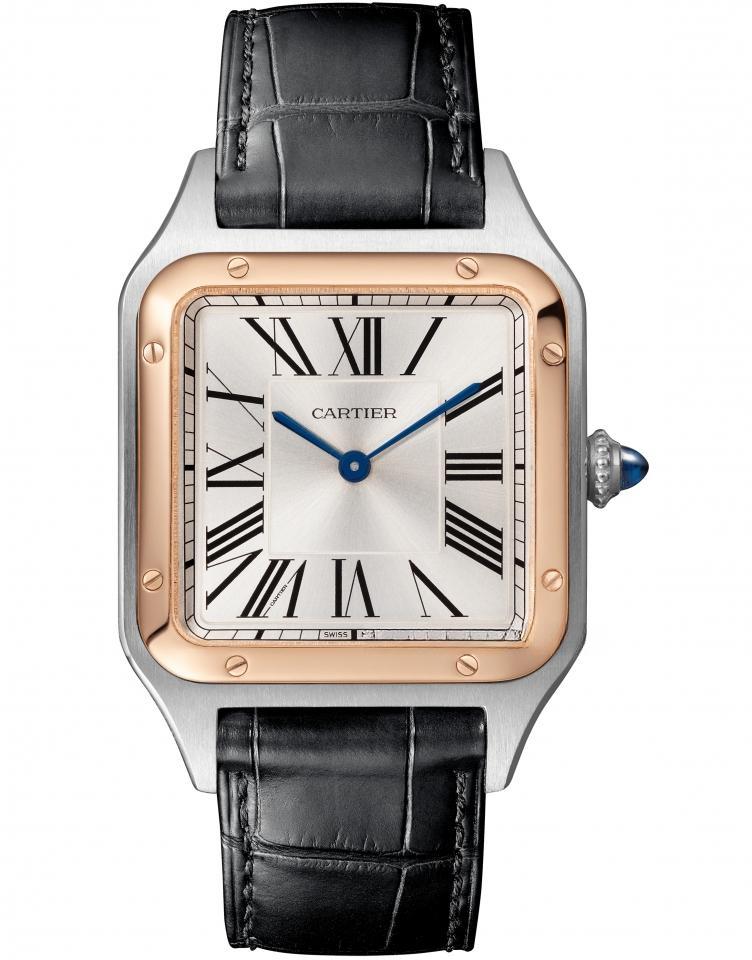 CARTIER W2SA0011